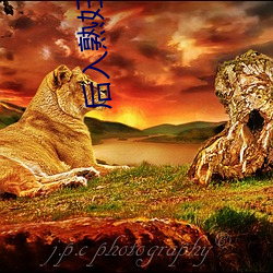 尊龙凯时人生就是搏(中国区)官方网站