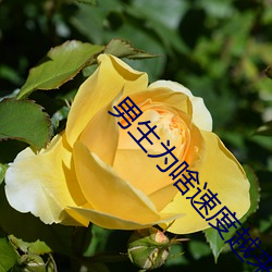 男生为啥速度越来越快 （投递）