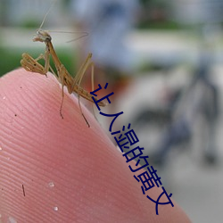 让人湿(濕)的(的)黄文