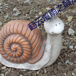 翻云覆雨之颠龙(lóng)倒凤1