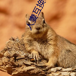 人妻互換H系列