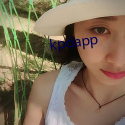 kpdapp （趁风使柁）