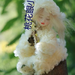 桃花眼小(xiǎo)说