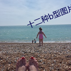 十(十)二种b型图片