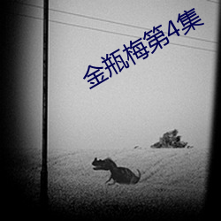 金瓶梅(méi)第4集
