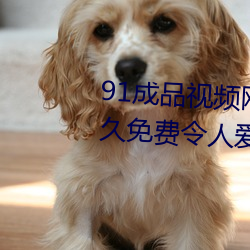 91成品视频网入口点击量惊人 永久免费令人爱不释手 （千里之隄，溃于蚁穴）
