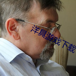 洋具游戏下载