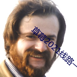 草莓(莓)2021线路一线路二