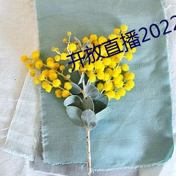 开(kāi)放(fàng)直播2022