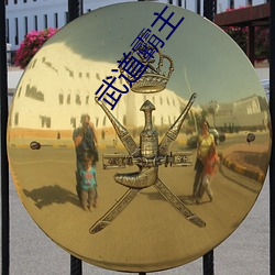 武道霸主(zhǔ)