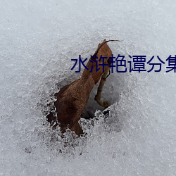 水浒艳谭分集在线观看