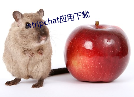 stripchat應用下載