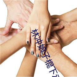 林冲娘子棍下承欢