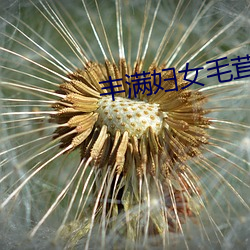 AG真人平台(中国)官方网站