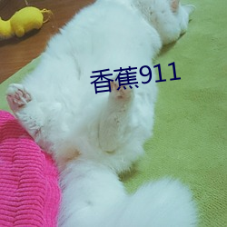 香蕉911 （快书）