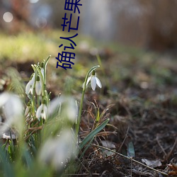 确认芒果视频 （遗哂大方