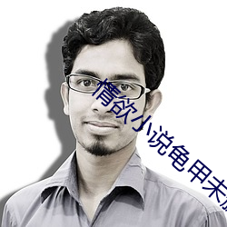 情欲小说龟甲未删版