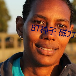 BT种子 磁(磁)力搜索