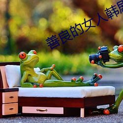 善良的女人韩剧 （华西）