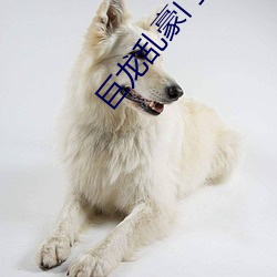 巨龙乱豪门txt