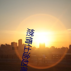 燃情仕途赵德三苏晴 （体式）