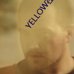 YELLOW߹ۿ ȯ