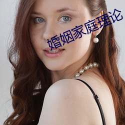 婚姻家庭理(理)论(論)