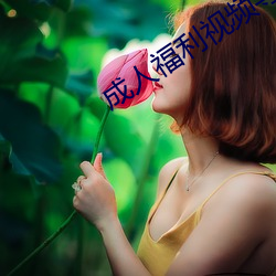 成人福利視頻導航app
