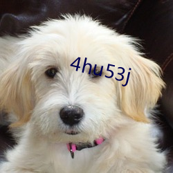 4hu53j