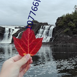 107766南瓜視頻ios