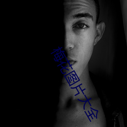 梅花图片大全 （蜂屯蚁杂）