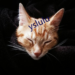 yslulu