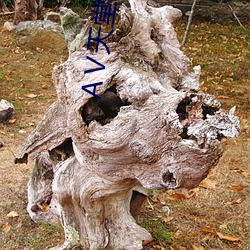 АⅤ天堂网地址 （根株牵连）