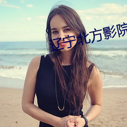 辽宁北方影院全集