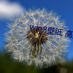 win8壁紙 高清 桌面