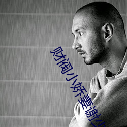 财阀小娇妻谢少(sho)宠(chǒng)上瘾