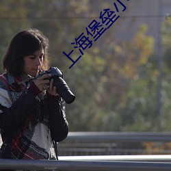 上海堡垒小说