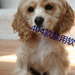 404款禁用(yòng)软件APP大(dà)全免(miǎn)费版
