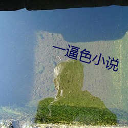 一逼色(sè)小(xiǎo)说