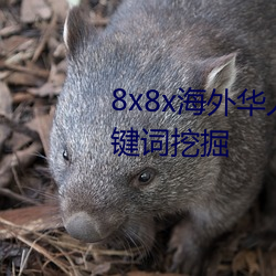 8x8x外洋华人永世免费拔 长尾要害词挖掘 （蜂合豕突）