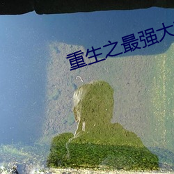 米乐M6·(中国)官方网站