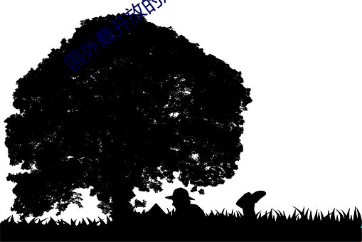 国外最开放的短视频软件