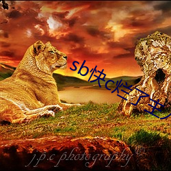 sb快c烂了主人