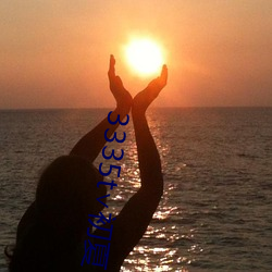 3335t∨初夏官网