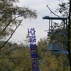 空降直播视频