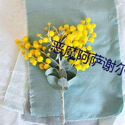 恶魔(魔)阿萨谢尔