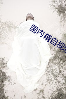 国(gu)内精自视频品(pn)线六区(q)