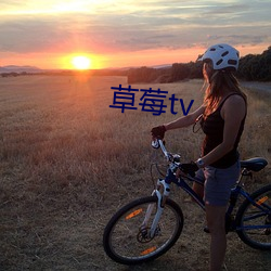 草莓tv