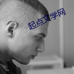 起点(diǎn)文学网