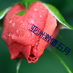 鸿运国际·(中国)会员登录入口